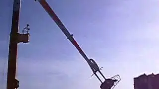 Capriolo 