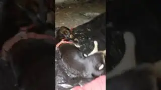 se da&ntilde;o la carpa y toco dormir as&iacute; 🥲🥲