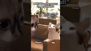 RELATE😹 sharing your hyperfixations #catmemes #catshorts #relatable #relationship #struggles #hobby