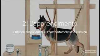 2. Il riflesso condizionato e il comportamentismo classico