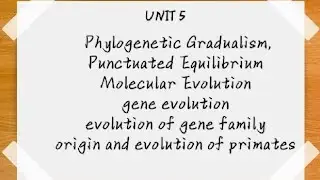 Phylogenetic Gradualism, punctuated Equilibrium, molecular evaluation, gene evolution