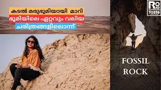 കടൽ മരുഭൂമിയായി മാറി: ഭൂമിയിലെ ഏറ്റവും വലിയ ചരിത്രങ്ങളിലൊന്ന് FOSSIL ROCK