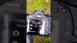 Wi-Fi canon 1500d dslr📸 camera#photography #shorts #video #photo #canon #youtubeshorts #viral