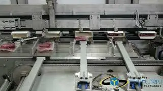 CARTONER SLCT-XGEA-CON - CONTINUOUS MOTION -  MEAT & FISH