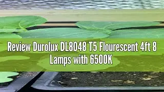 Review Durolux DL8048 T5 Flourescent 4ft 8 Lamps with 6500K and 40000 Lumen Grow Light System 8 Tube