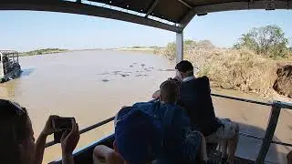 St Lucia Hippos Grunting