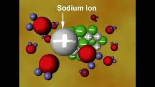 How substance Dissolve