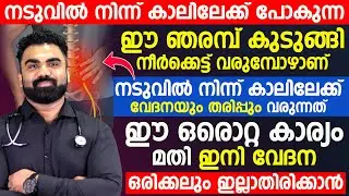 നടുവിൽ നിന്ന് കാലിലേക്ക് വേദനയും തരിപ്പും വരുന്നത് ഈ ഒരൊറ്റ കാര്യം മതി Dr.Abdussamad