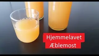 Hjemmelavet &AElig;blemost i Juicepresser