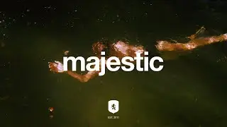 Nuage - Secret Jungle
