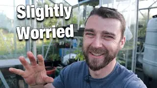 May Allotment Tour | Planting Out | A Daunting Task...