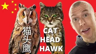 The Chinese Language Demystified