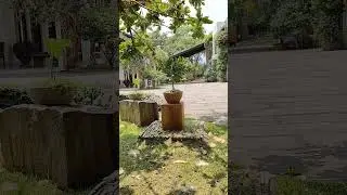 Nalanda Cottage, Isha Yoga Center, Coimbatore