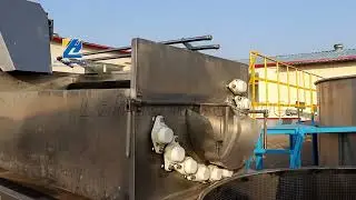 Braised Peanuts Production Line