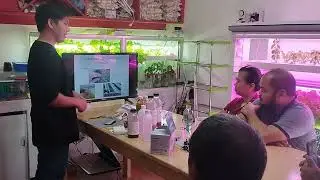 HOW TO HYDROPONICS PHILIPPINES