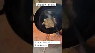 Village food // Wild Berry// Turkey Berry #shortsvideo #short #junmonisonowal