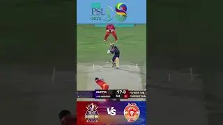 Quetta Fall of Wickets Match 20 #PSL8 #T20 #2023 #PSL