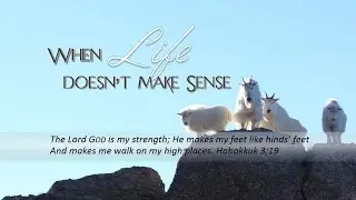 Habakkuk - When Life Doesn't Make Sense