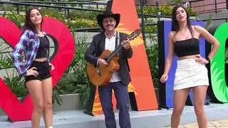 EL CARNICERO MALICIOSO NICOLAS MUÑOZ