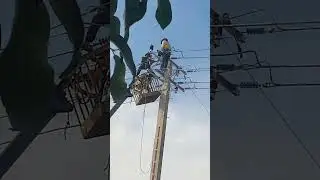 #electrician #mv #electrical #life #mediumvoltage #installation #distribution