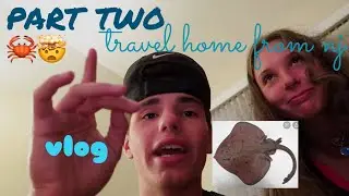 second half new jersey *vlog* + travel home