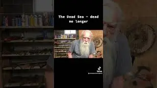 Prophecy Update - Dead Sea #shortsvideo