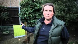 Hen Corner - 10 Top Tips #1 Space & Equipment