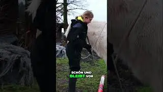Pferdegerechte &Uuml;bungen f&uuml;r Balance & T&ouml;lten