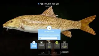 БЕЛОБРЫСЫЙ, проверка фарма на медном, ТРОФ усач!!!