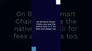Blockchain Networks and their Native Coins Part 2