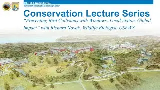 August 7 at 2pm - Conservation Lectures: &ldquo;Preventing Bird Collisions with Windows&rdquo;