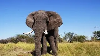 Touring Africa - Yampu Tours