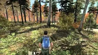 Dayz death by axe 