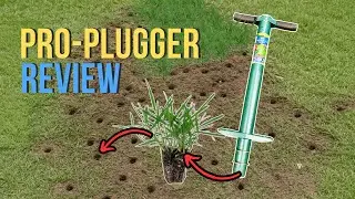 The One Lawn Care Tool You Must Have