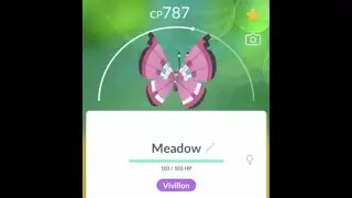 Meadow Vivillon