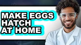 How to Make Eggs Hatch at Home (Full Guide)
