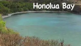Honolua Bay Virtual Maui Guide
