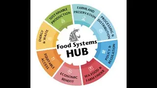 Ripple Effects Mapping with Debra Hansen and Clea Rome on the WSU Food Systems HUB