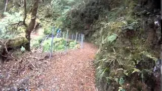 Old Ghost Road, Lyell, Buller Gorge - New Zealand