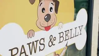 Welkom bij Paws and Belly! - Natuurlijke honden- en kattenvoeding op maat!