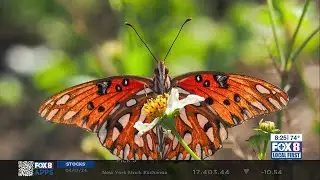 Audubon Zoo: Zoo-to-Do, summer camps, aquarium