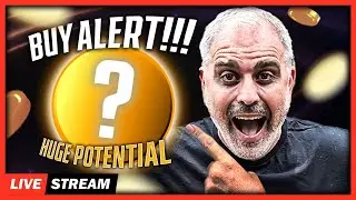 🚀 BNB Pepe: The Next Coin Set to Make Millionaires! 💰✨
