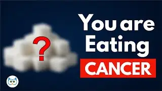 The #1 FOOD You Should AVOID to Starve CANCER Cells
