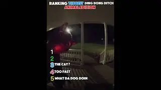 Ranking the best ding dong ditch Animal edition