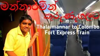 Mannar to Kurunegala Amazing Train Ride...! 🤠❤🇱🇰 | තල් අරනෙන් ඇතුගල්පුරට 🏝🐘