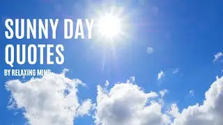Sunny day Quotes I Relaxing Mind