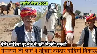 पेमाराम जी लाएं 4 खूंखार दमदार घोड़ियां बिकाऊ। नागौर मेला 2023। Ramdev pashu Mela Nagaur।