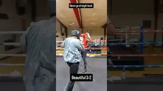 Lead Hook Cross Punch #boxing #boxingworkout #boxingtraining #boxingdrills #combatsports #mma #ufc