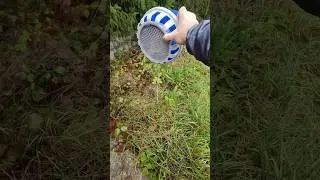 Moisture Problem in Vanlife?💧🍂🍁 Try This! | Probl&eacute;m s vlhkost&iacute; ve Vanlife? Vyzkou&scaron;ejte tohle! ✅