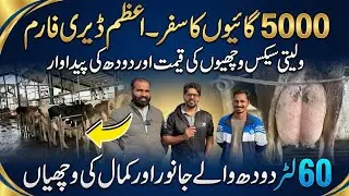 5000 cows journey -Azam dairy farm II Small scale dairy farming guidelines II Dr. MUZZAMMIL